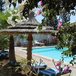 book here